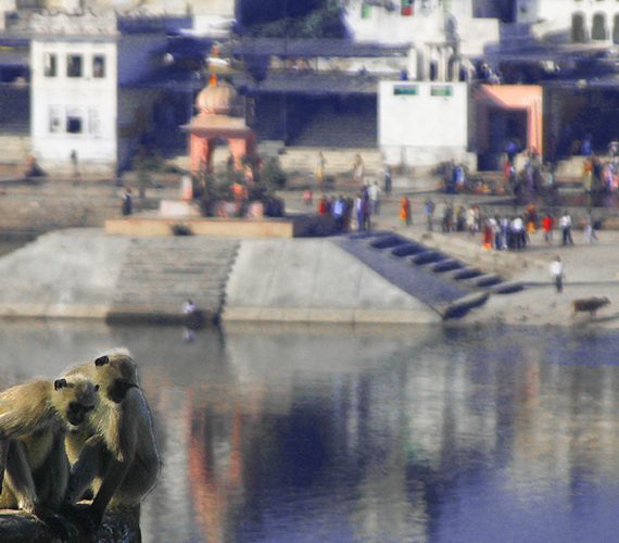 Rajasthan