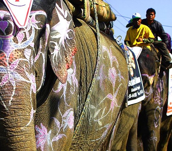 Chitwan Nepal
